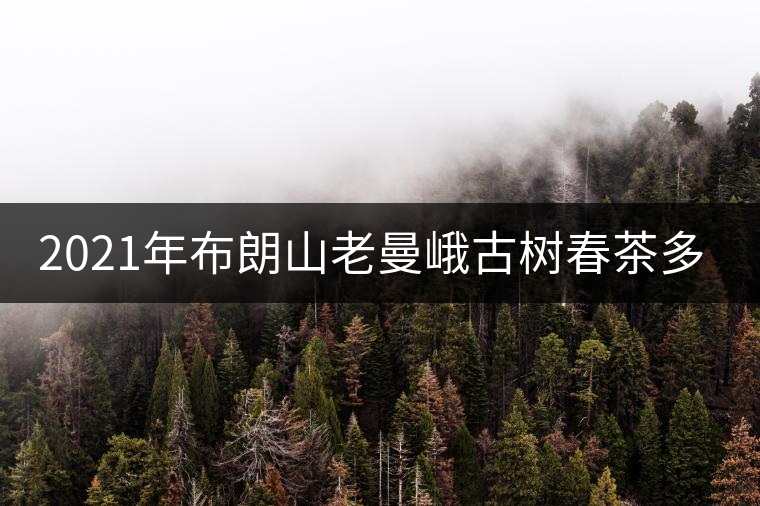 2021年布朗山老曼峨古樹春茶多少錢一公斤？