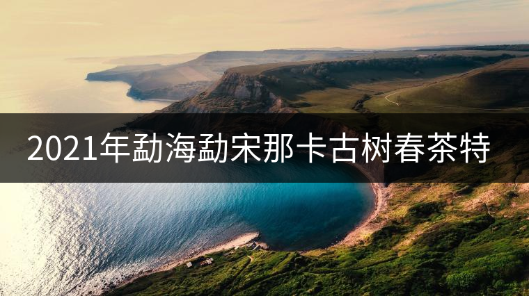 2021年勐海勐宋那卡古樹春茶特點(diǎn)？