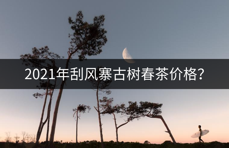 2021年刮風(fēng)寨古樹春茶價格？