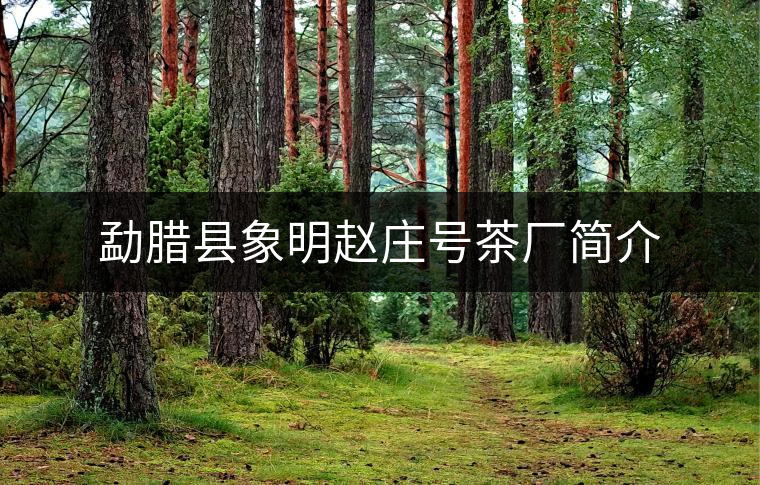 勐臘縣象明趙莊號(hào)茶廠簡(jiǎn)介