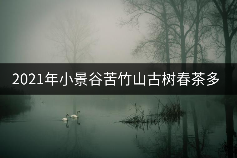 2021年小景谷苦竹山古樹春茶多少錢一公斤？