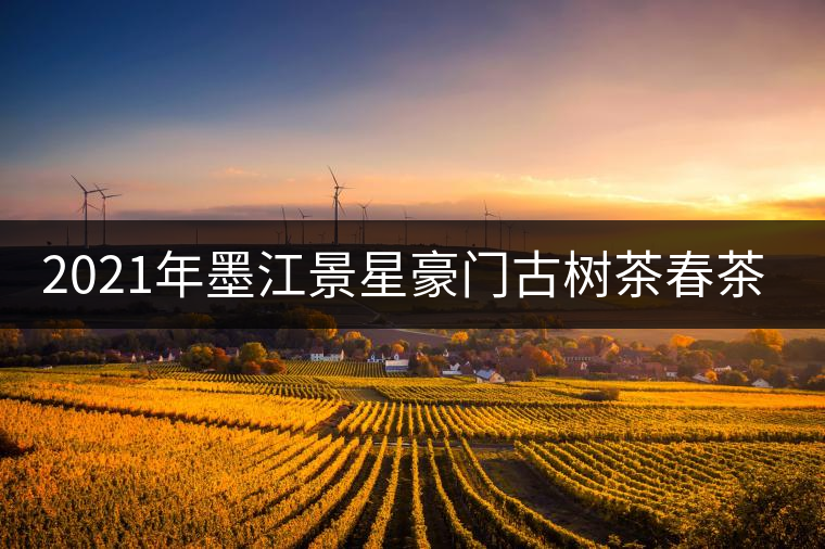 2021年墨江景星豪門古樹茶春茶價(jià)格多少錢一斤？