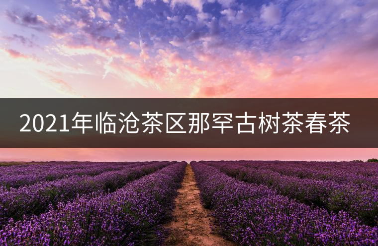 2021年臨滄茶區(qū)那罕古樹(shù)茶春茶多少錢(qián)一公斤？