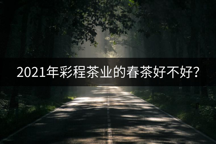 2021年彩程茶業(yè)的春茶好不好？