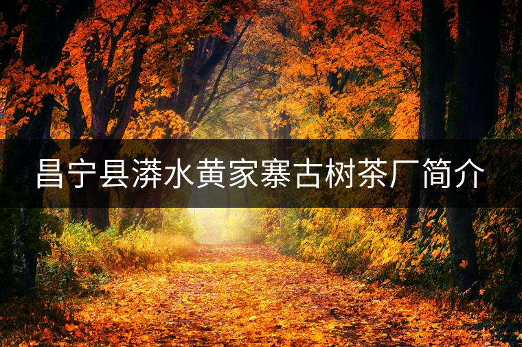 昌寧縣漭水黃家寨古樹茶廠簡(jiǎn)介