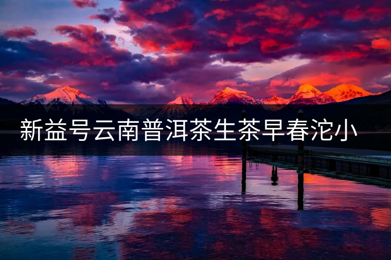 新益號(hào)云南普洱茶生茶早春沱小沱茶坨茶滋味如何？