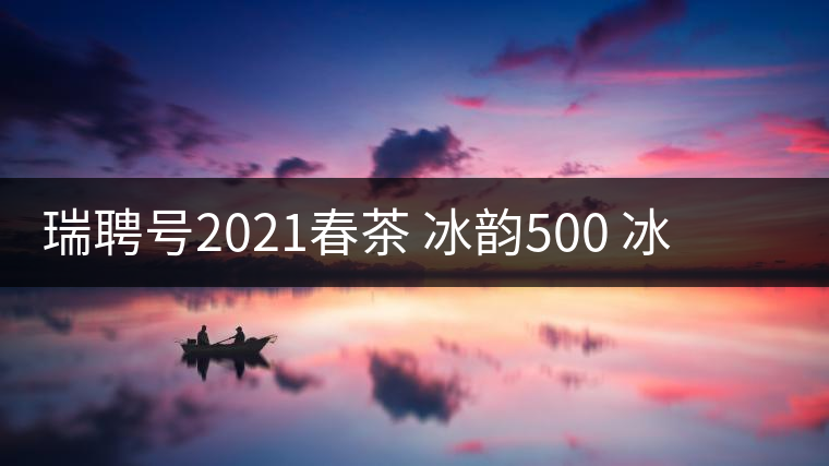 瑞聘號2021春茶 冰韻500 冰島頭春古樹茶口感好不好？