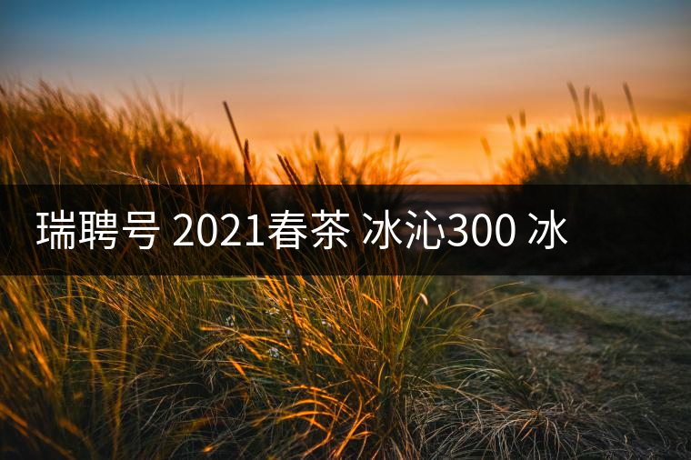 瑞聘號(hào) 2021春茶 冰沁300 冰島頭春古樹茶好喝嗎？