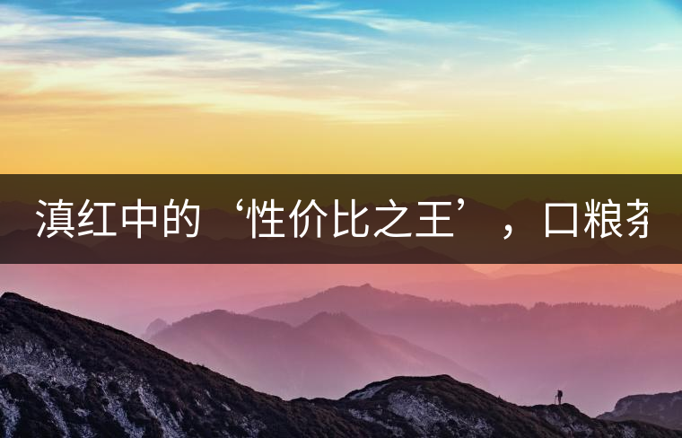 滇紅中的‘性價比之王’，口糧茶首選！