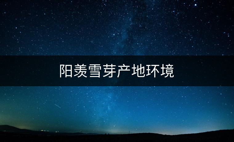 陽(yáng)羨雪芽產(chǎn)地環(huán)境 陽(yáng)羨雪芽產(chǎn)地環(huán)境