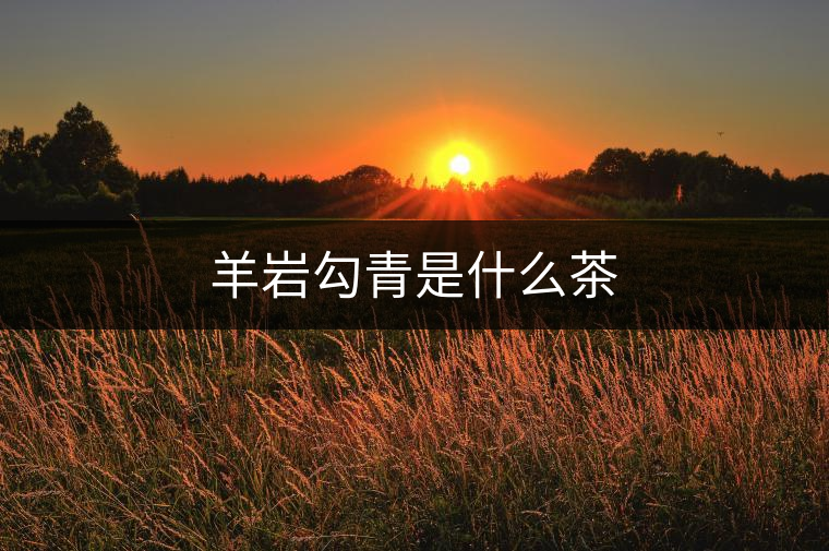 羊巖勾青是什么茶