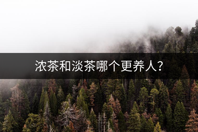 濃茶和淡茶哪個更養(yǎng)人？