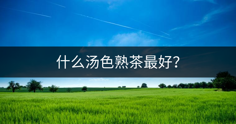 什么湯色熟茶最好？