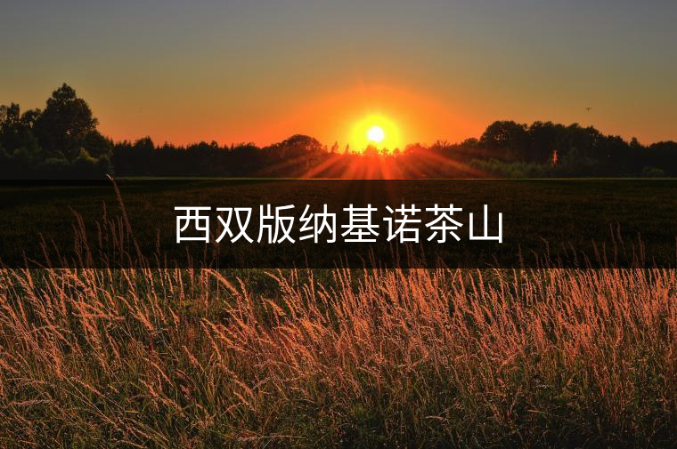 西雙版納基諾茶山