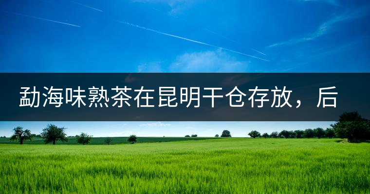 勐海味熟茶在昆明干倉存放，后期轉(zhuǎn)化如何呢？