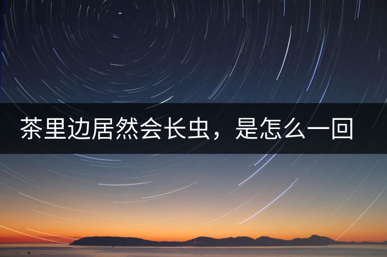 茶里邊居然會長蟲，是怎么一回事呢？