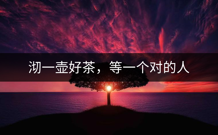 沏一壺好茶，等一個(gè)對(duì)的人