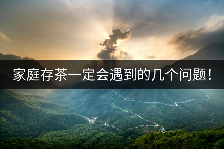 家庭存茶一定會遇到的幾個問題！