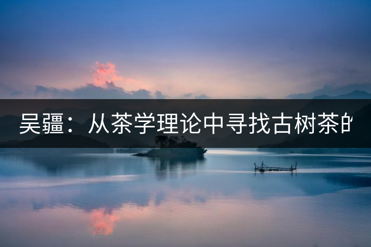吳疆：從茶學(xué)理論中尋找古樹茶的鑒別方法？（讀書筆記3）