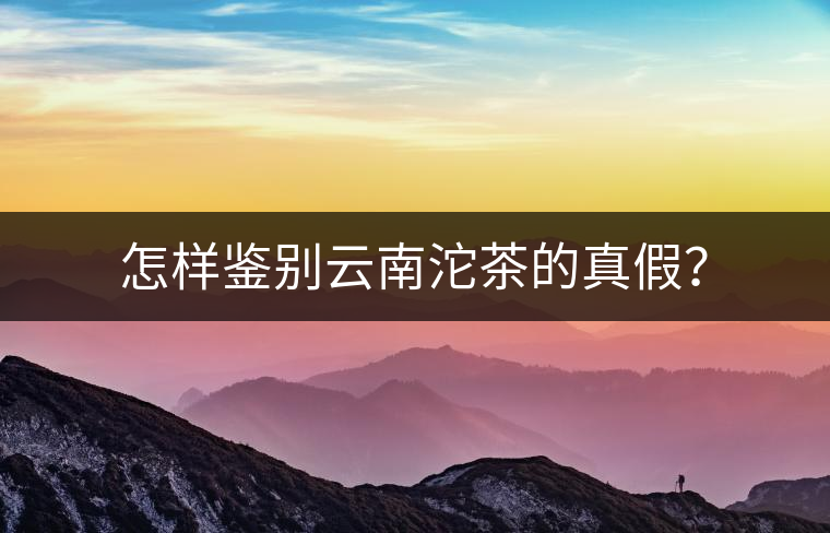 怎樣鑒別云南沱茶的真假？