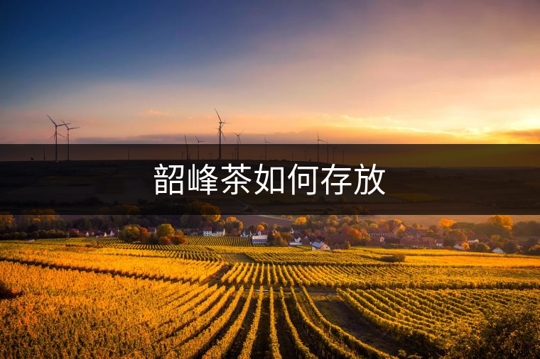 韶峰茶如何存放 韶峰茶如何存放