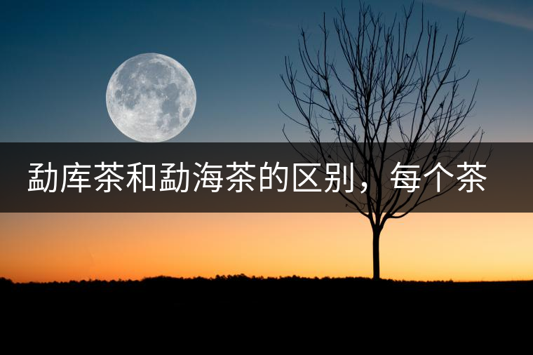 勐庫茶和勐海茶的區(qū)別，每個茶友都該了解的選茶常識！