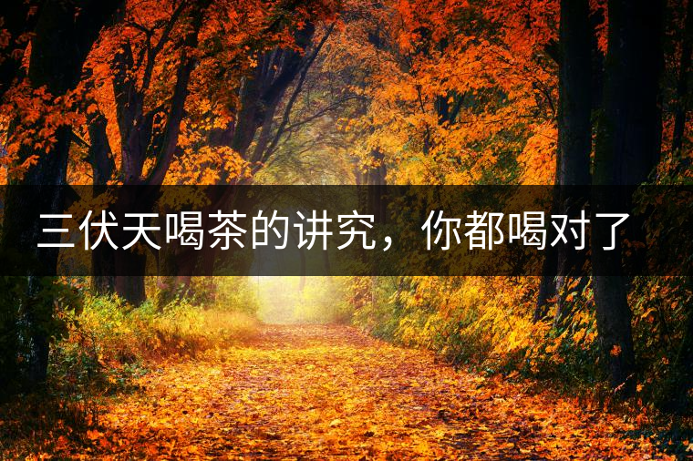 三伏天喝茶的講究，你都喝對(duì)了嗎？