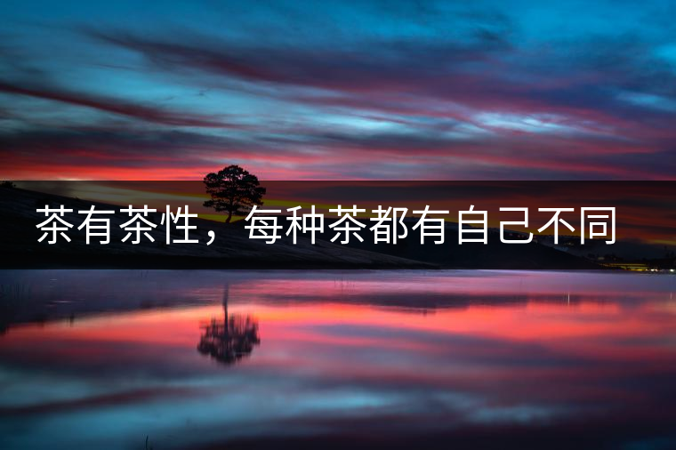茶有茶性，每種茶都有自己不同的正確泡法