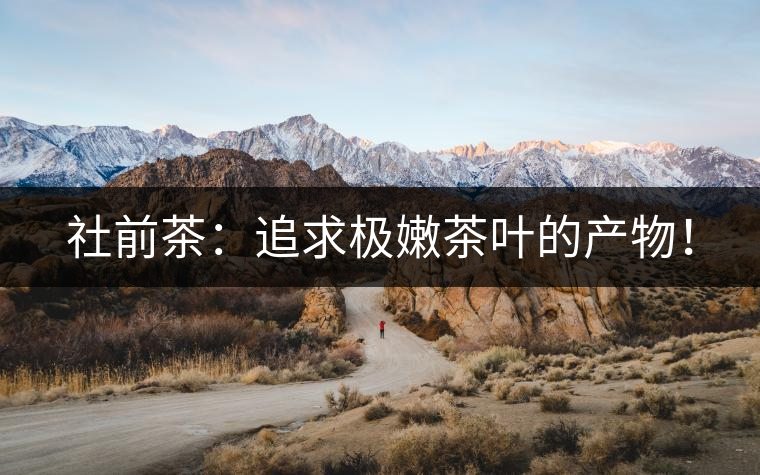 社前茶：追求極嫩茶葉的產(chǎn)物！