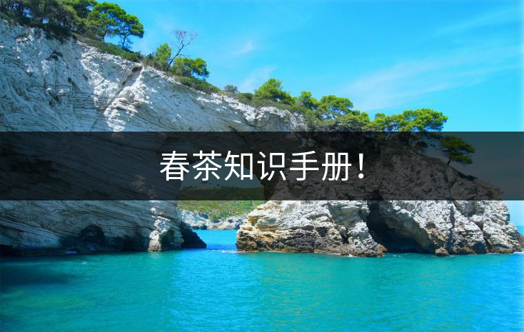 春茶知識手冊！