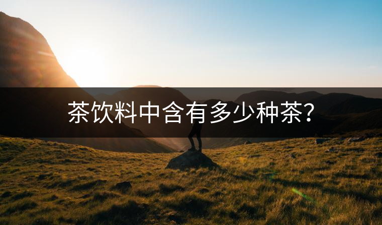 茶飲料中含有多少種茶？