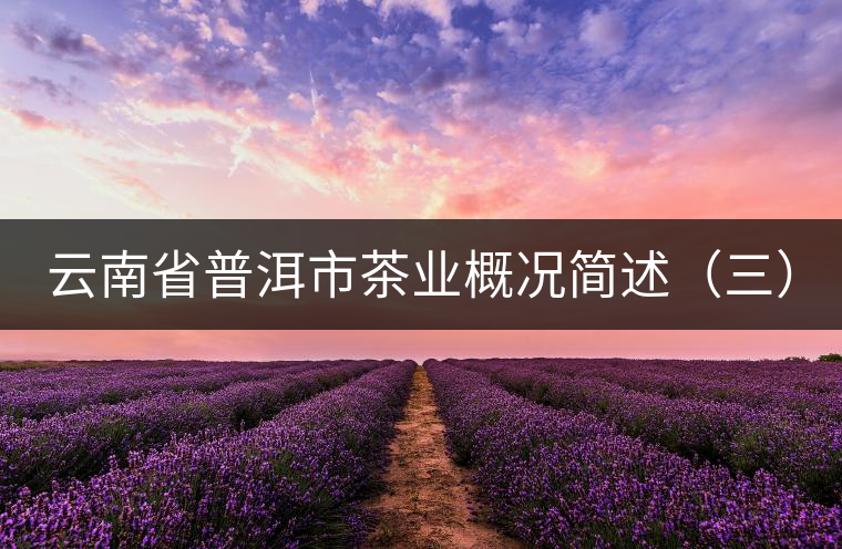 云南省普洱市茶業(yè)概況簡述(三) 云南省普洱市茶業(yè)概況簡述(三)