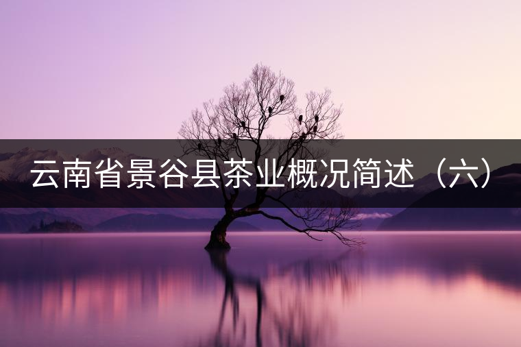 云南省景谷縣茶業(yè)概況簡(jiǎn)述（六）