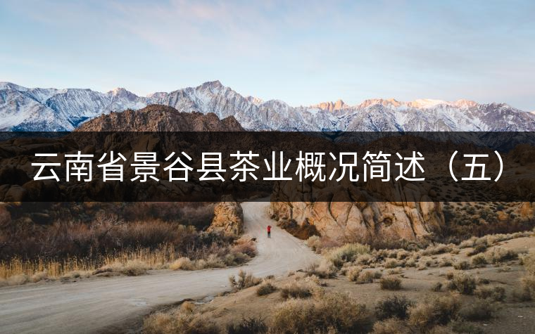 云南省景谷縣茶業(yè)概況簡述(五) 云南省景谷縣茶業(yè)概況簡述(五)