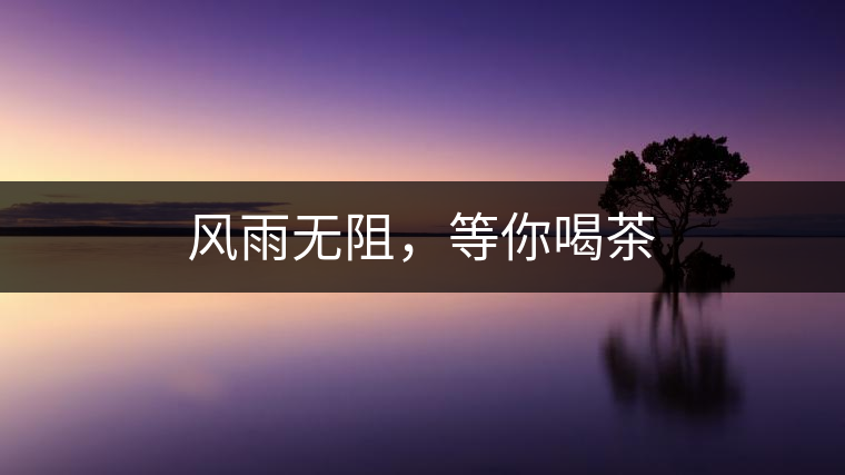 風雨無阻，等你喝茶