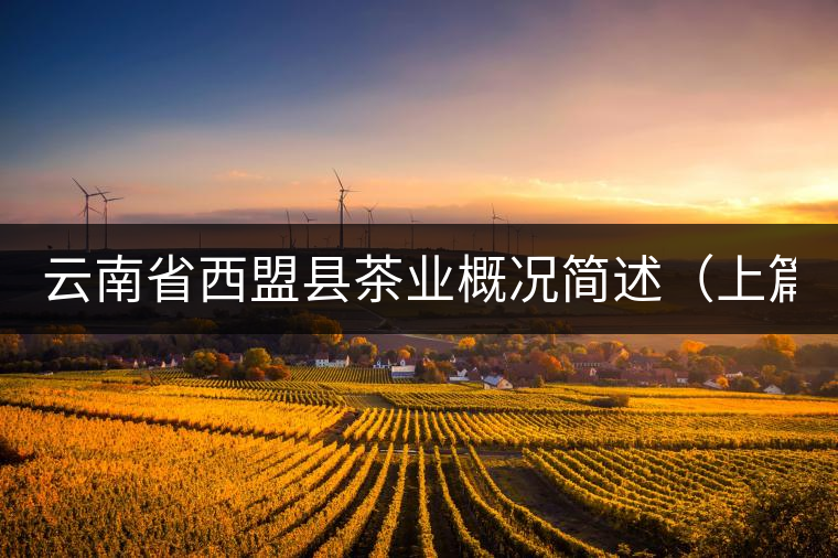 云南省西盟縣茶業(yè)概況簡(jiǎn)述（上篇）