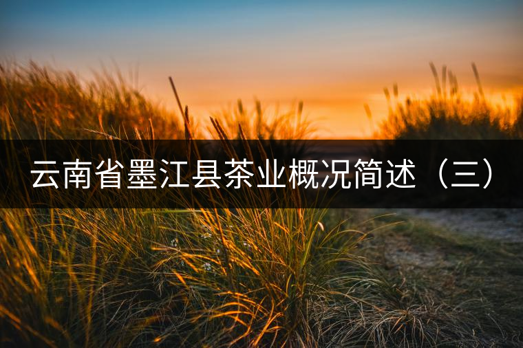 云南省墨江縣茶業(yè)概況簡(jiǎn)述（三）