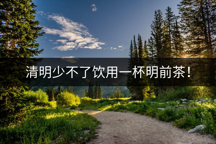 清明少不了飲用一杯明前茶！