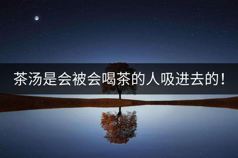 茶湯是會(huì)被會(huì)喝茶的人吸進(jìn)去的！