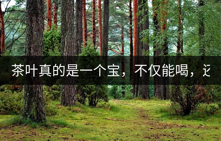 茶葉真的是一個(gè)寶，不僅能喝，還能用！