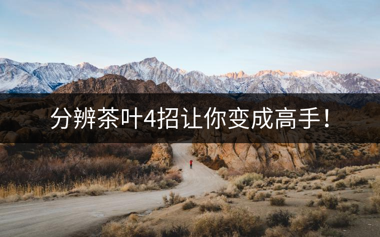 分辨茶葉4招讓你變成高手！