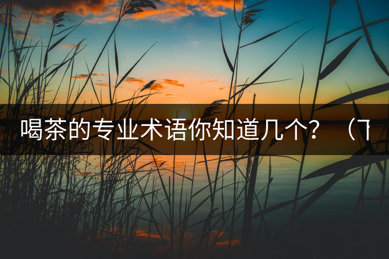 喝茶的專業(yè)術語你知道幾個？（下篇）
