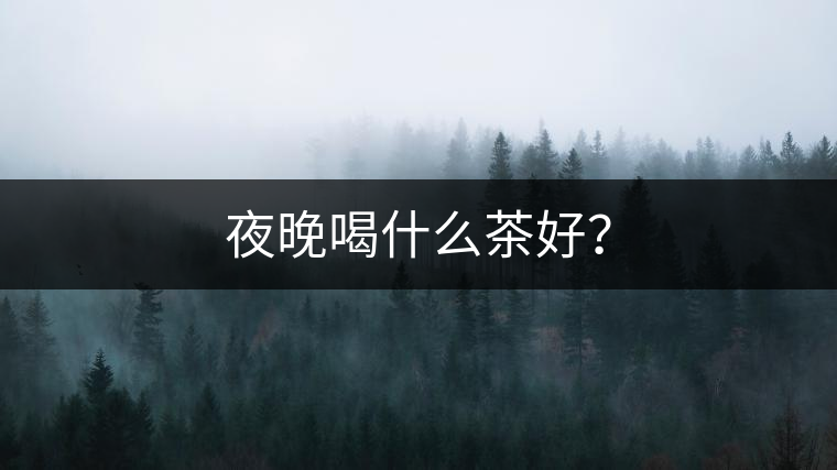 夜晚喝什么茶好？