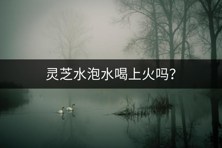 靈芝水泡水喝上火嗎？