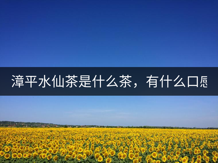 漳平水仙茶是什么茶，有什么口感特點(diǎn)！