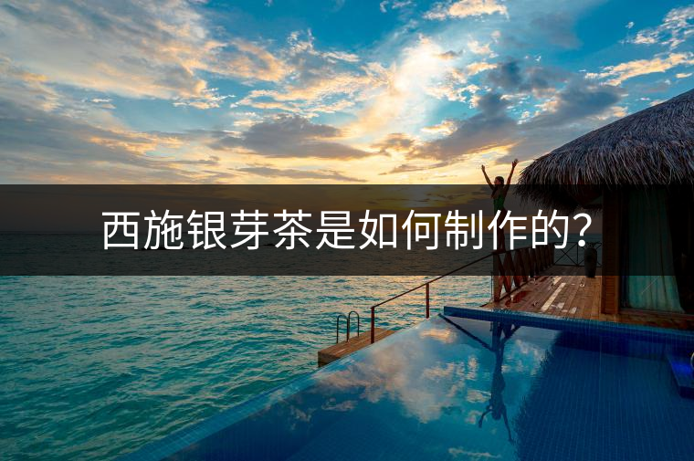 西施銀芽茶是如何制作的？