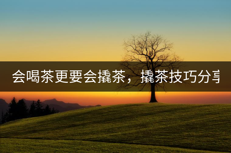 會喝茶更要會撬茶，撬茶技巧分享！