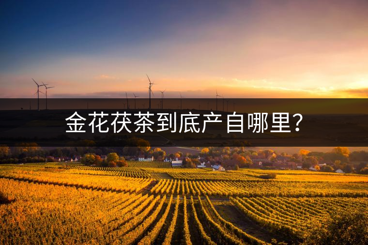 金花茯茶到底產(chǎn)自哪里？