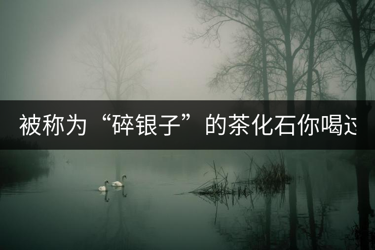 被稱為“碎銀子”的茶化石你喝過嗎？