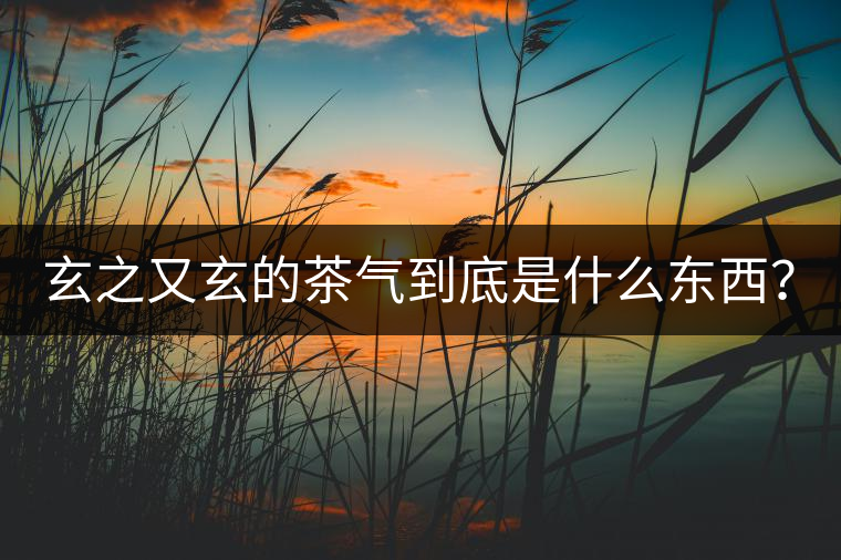 玄之又玄的茶氣到底是什么東西？